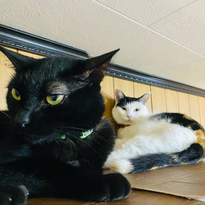 Fc643dfc 0ba8 41b8 93c3 00d6070df399 1663243953807