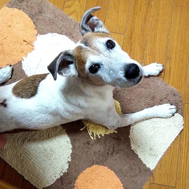 Fc644d6c ed42 4f25 8c18 d37a31cb5d87 1560662530787