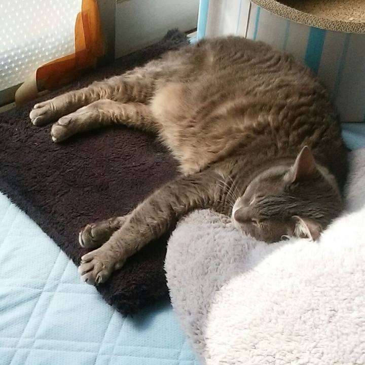 Fc64ae32 f62c 445a aab8 6f53e499ce5b 1555805461589