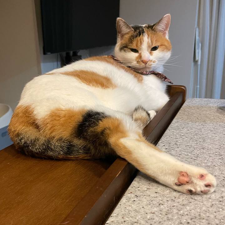 Fc64b5dd 24ce 4f5c 853f a18d22793536 1734651531413