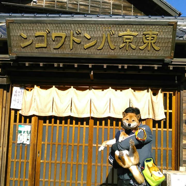 Fc64bc99 3ab9 4300 a926 cd18695d6345 1515818974587