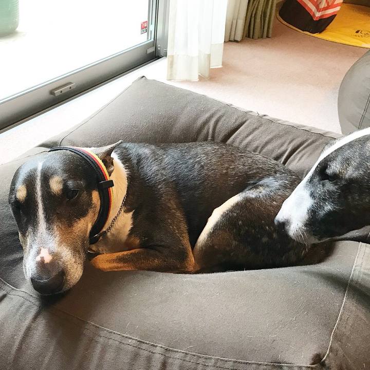 Fc651b29 d482 48d3 8c55 6be8fe8405ce 1527661964828