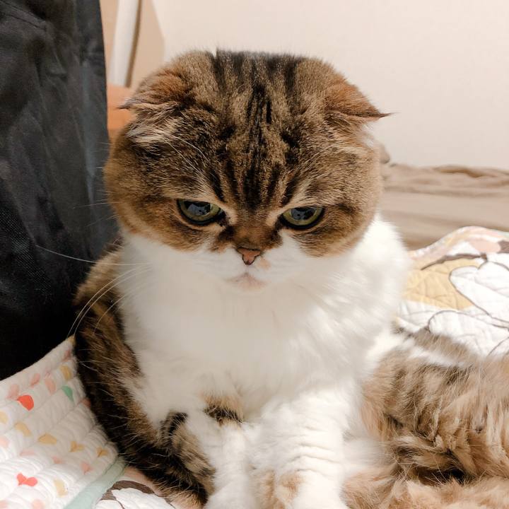 Fc6527e2 48cd 4817 a5ee c894948bbc8b 1558885063963