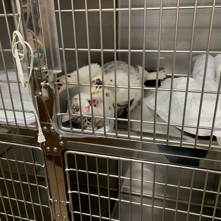 Fc652fd7 f206 46d0 96f8 e64a0ed630d8 1576029289918