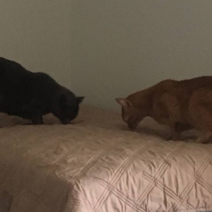 Fc654934 13d7 4875 9b11 fefe9acb47e6 1645498555896