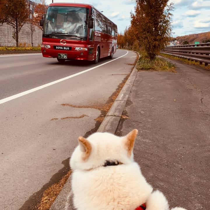 Fc6586f3 b479 4101 af52 d45a3b62a2d1 1605578973860