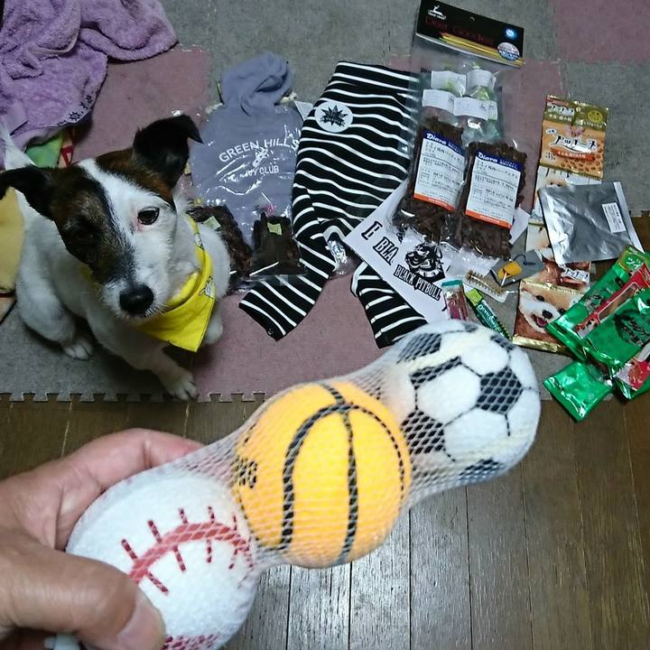 Fc65d326 b3e0 4d66 a064 5e8eea997ef5 1522499096713