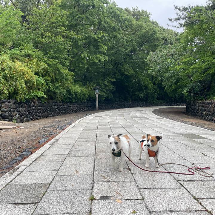 Fc65ef73 37c5 4e18 9989 c82b7f82ac79 1716937304967