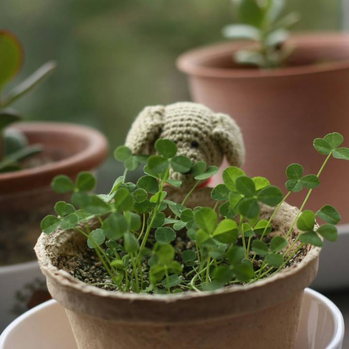 Fc660fee 45bb 4993 b9f7 4d3953f5818f 1619168710750