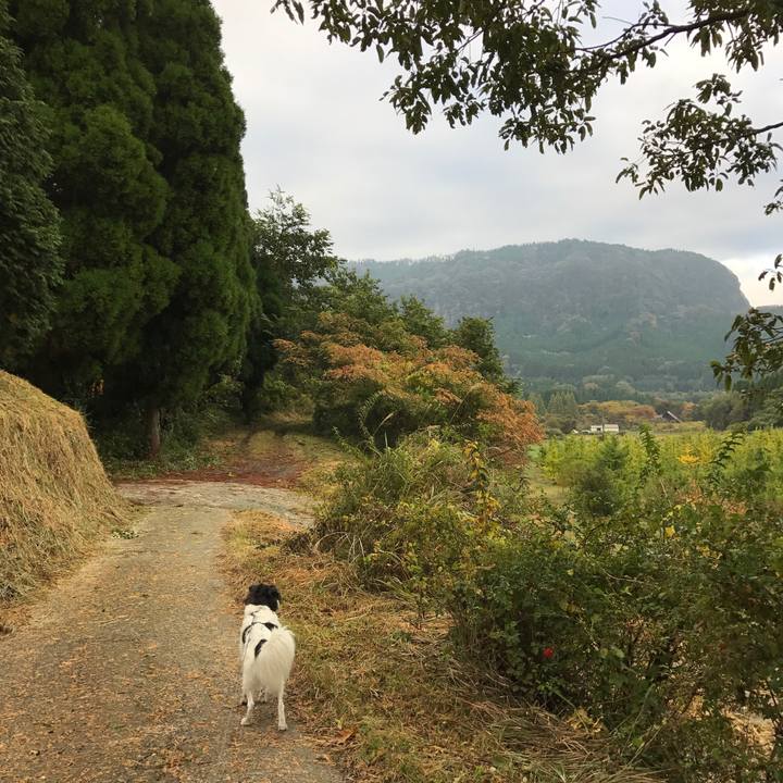 Fc666e75 f01c 4239 ae5c 4d3574062a6d 1509066409470