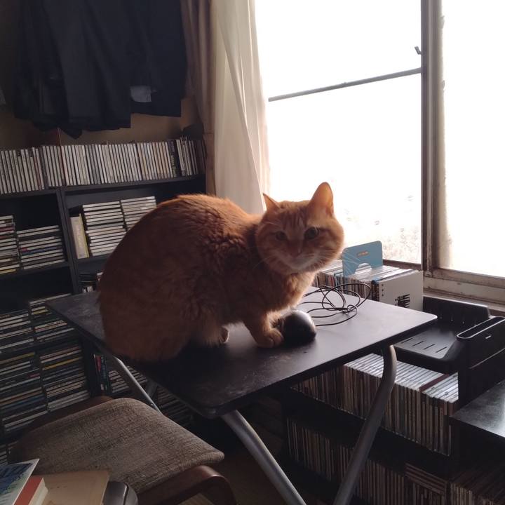 Fc668486 e027 415c b110 5a63d4414457 1680128519887