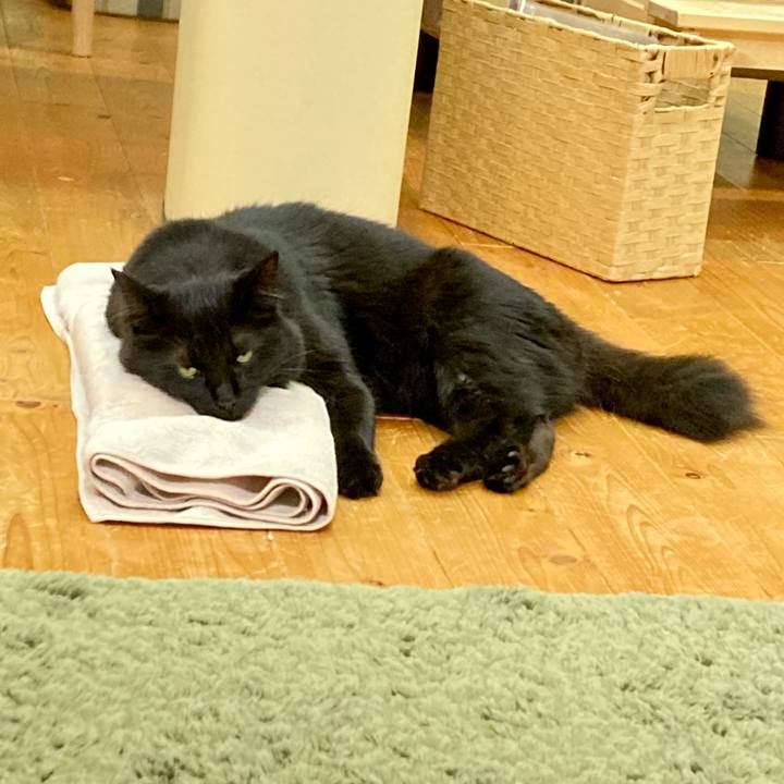 Fc66c25d 19d1 4749 bb4c 81c7c356f74b 1725070828368