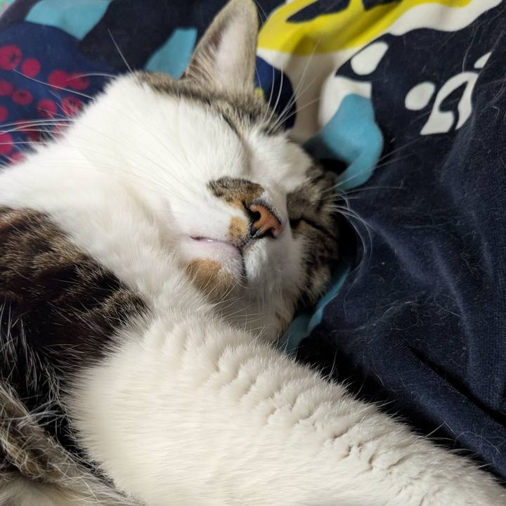 Fc66dd9e 0bf2 41be a089 d2d33e6b5263 1769872352745