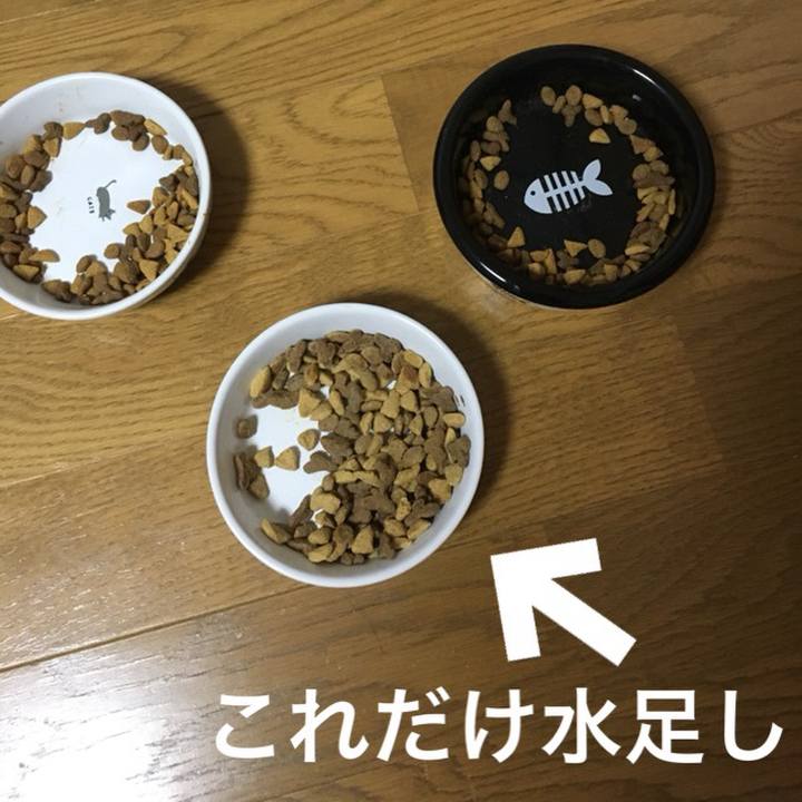 Fc66e792 631a 451e 83ff 42a64b5378f6 1549402433418