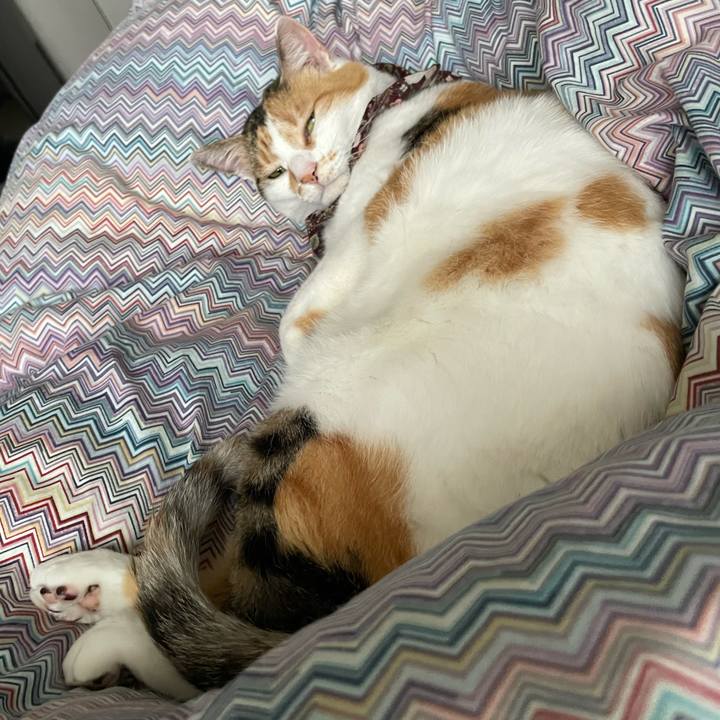 Fc671397 ce79 4d30 b040 32d498b22bf9 1749948768734