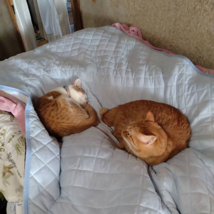 Fc671e46 8c91 4f72 b5f2 9adf12c8020a 1736579317919