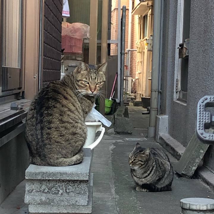 Fc67339f c505 4664 8534 4a38a242cd31 1547986969008