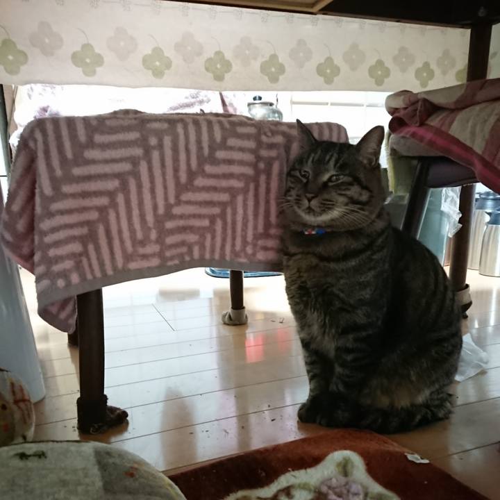 Fc676872 623d 4139 83ee 145b9b34c829 1641165366819