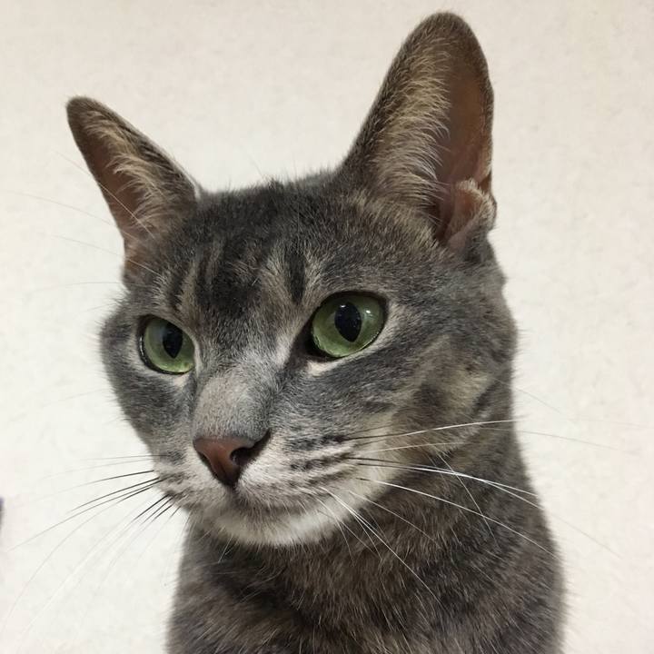 Fc67e71b 9adc 416e a226 9a0741a4b365 1566912385689