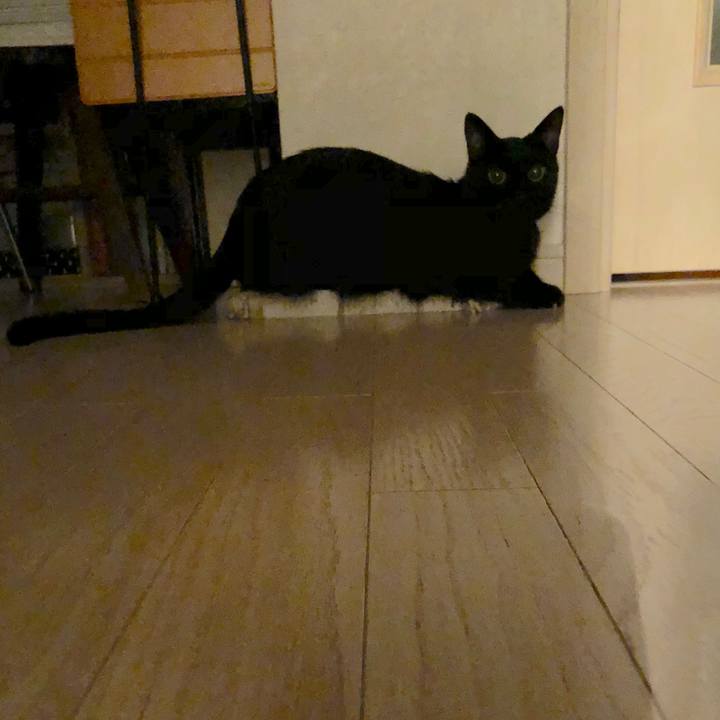 Fc67eaf5 73af 4af3 a32d e39813ff6c87 1535637131042