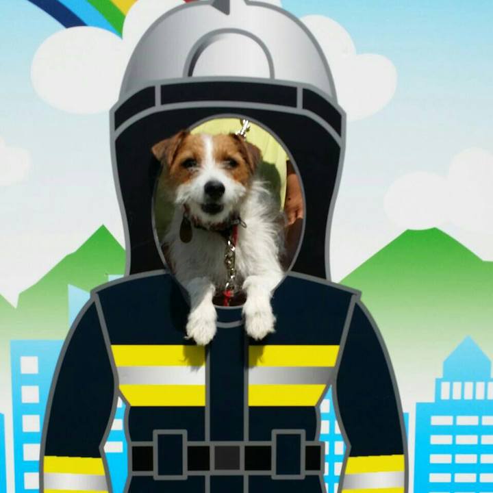 Fc67fcb7 dc4d 4906 b920 cccf05d5225c 1537756398270