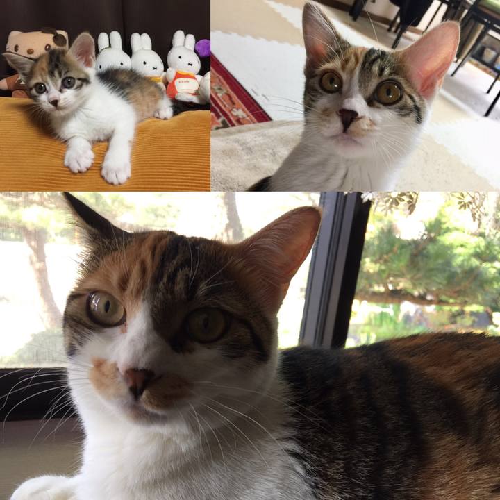 Fc681482 5536 47e6 b37d 83cbbb7b7629 1659824203042