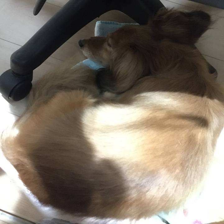 Fc688fe1 690b 4c86 afef ae113e8ac293 1592979074123