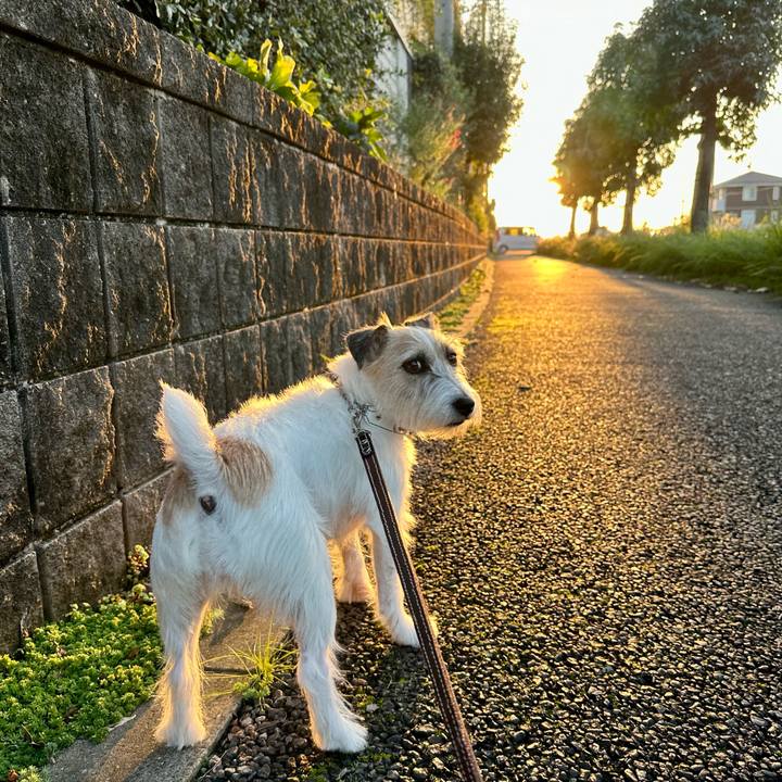 Fc68fe70 82f4 439f 9a5a accd043f2ef7 1730717231270