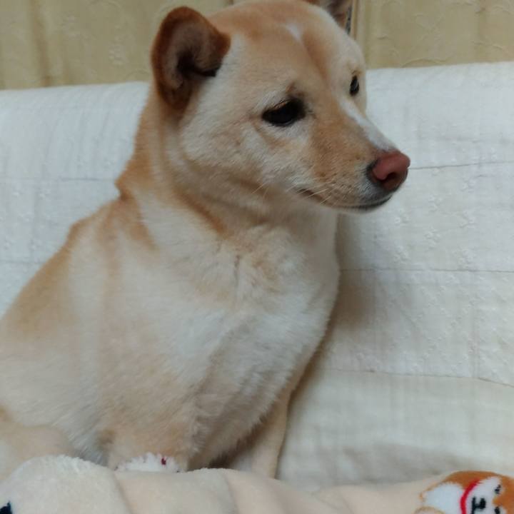 Fc696c85 87e3 40c3 9c68 ef0cbdd8e673 1520765249665