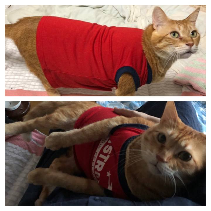 Fc69974a 2e8c 461e b1fc 3d2666a99ac1 1632388141745