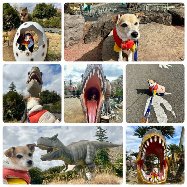 Fc699e12 b523 42ff 8bb1 2a6ca9086920 1678084206645