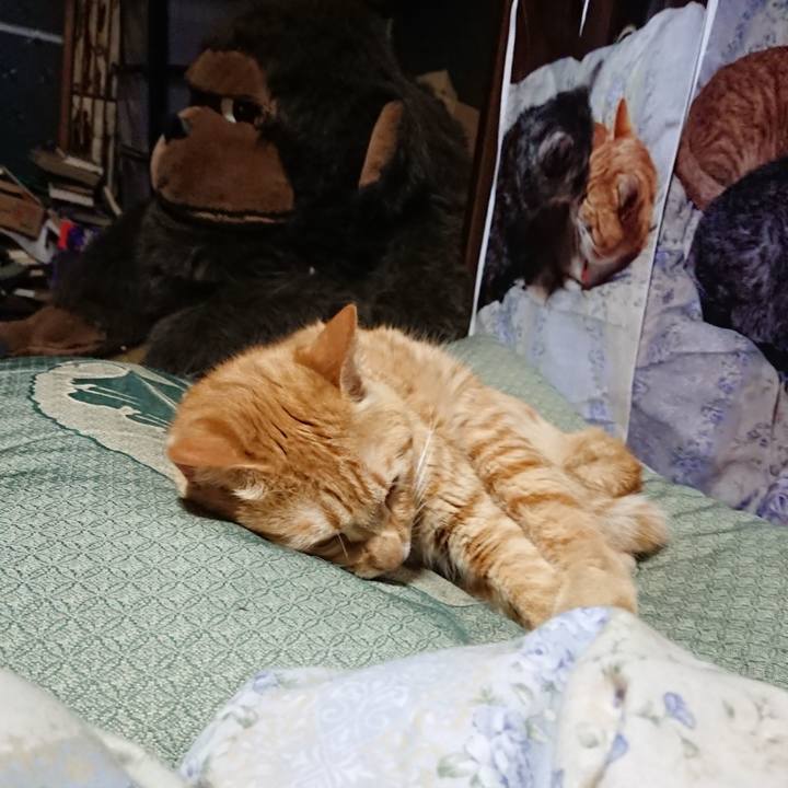 Fc69ae43 838a 4d44 8353 ffbd74a9ce3d 1657976137273