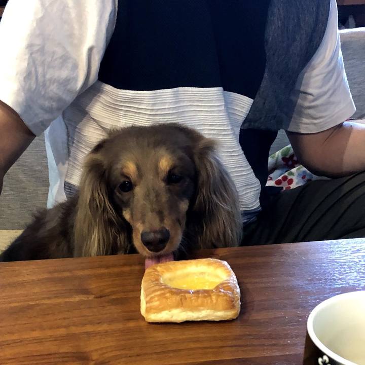 Fc69cd5d f07f 44fa a4e0 afa772743a9a 1557559521836