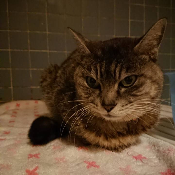 Fc69eb5d 3429 442b 97d6 7c57e5556f41 1585044879216