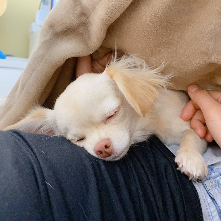 Fc6a06de 233b 4f6b 8412 c1ff8e8769b4 1610609451570