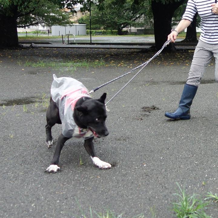 Fc6a09f3 e5df 46bc 9992 e74387a3aed6 1628984430867