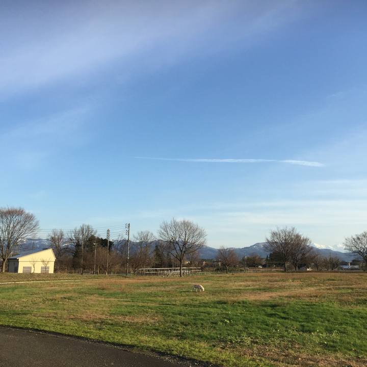 Fc6a0f98 9030 464c a160 7c73fa0eaf62 1545375394268