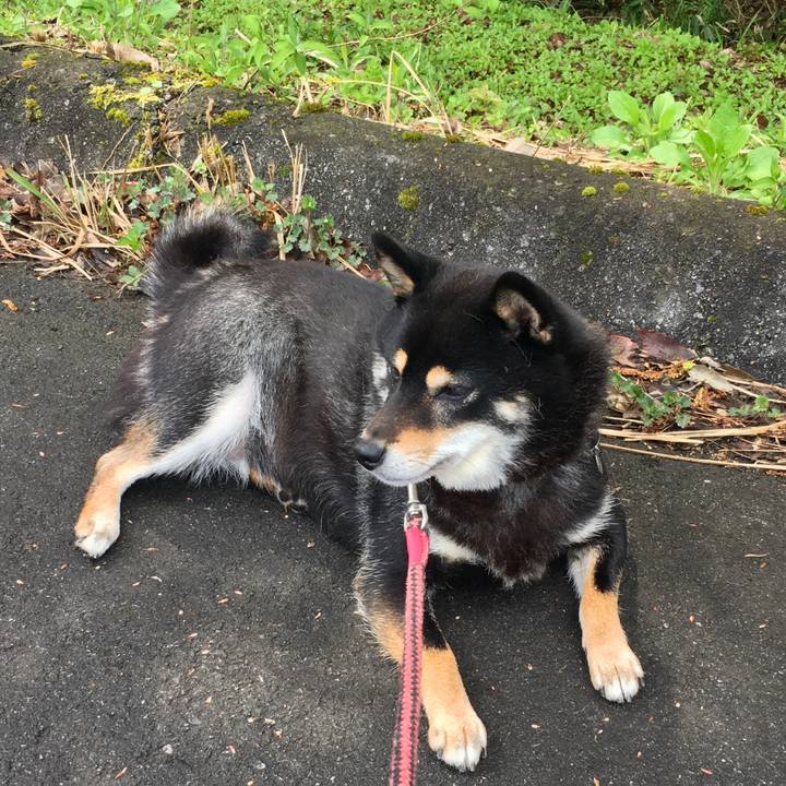 Fc6a538d a367 4462 aa48 1404cca86a9f 1524013109946