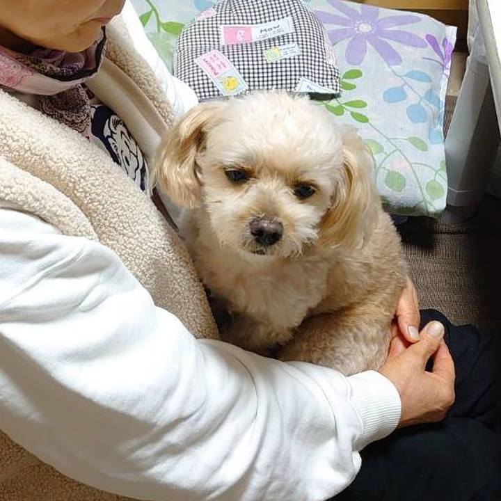 Fc6a60f3 d807 4a64 8c63 f0f446275424 1634733344776