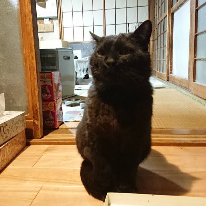 Fc6a8a95 1b52 4d77 bce4 f9365844189d 1620132506650