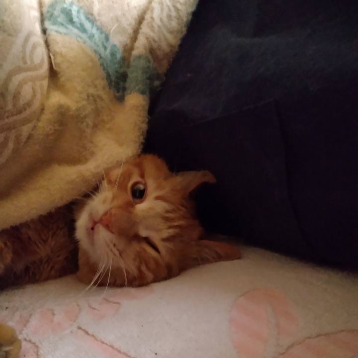 Fc6a9518 57b1 49b0 b137 2ed792e27a37 1681165562307