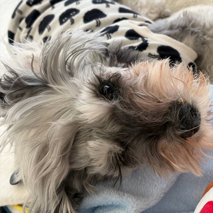 Fc6ac567 3028 432d b5a1 fb3782409a59 1772861811411