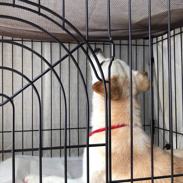 Fc6b046b c5b6 4875 88d3 12298c121c1a 1623317294842