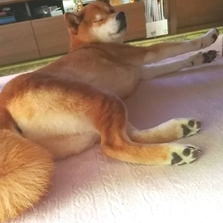 Fc6b1616 8015 4969 90c8 3861912fe279 1683356659807