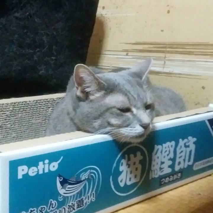 Fc6b27e8 8424 4c5a ba7d 742740d60724 1535124418755