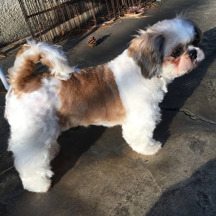 Fc6b2c10 7831 471b aa76 82c8cc03a893 1577529422487