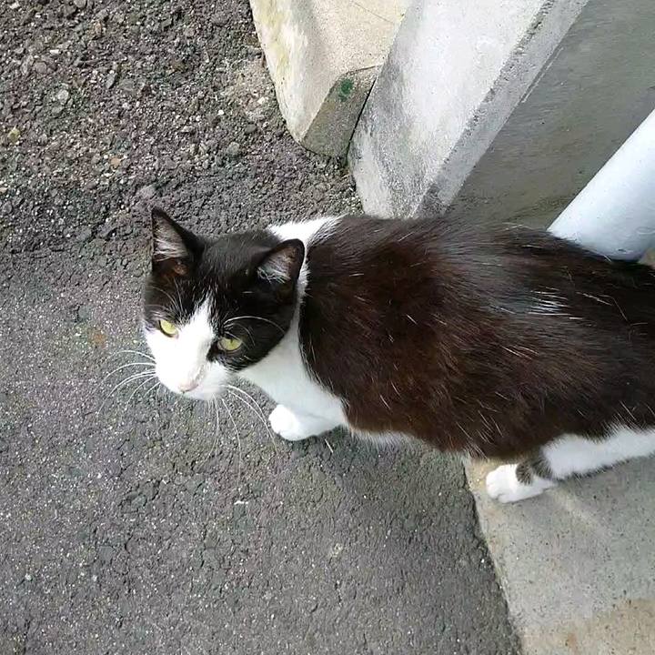 Fc6b375a acf8 4639 a58c b16f1e154915 1593127984410