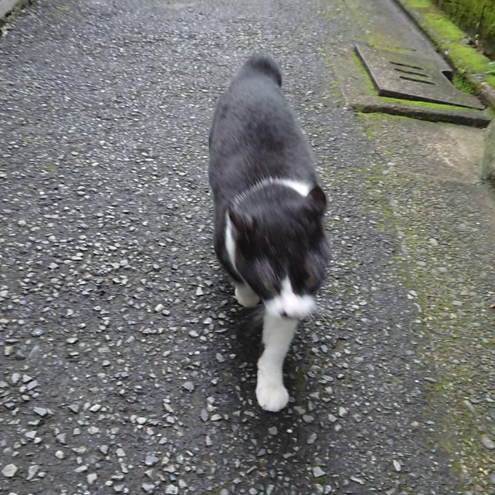 Fc6b3e8e 0b87 4a93 a769 78c5a5fe3914 1696461563086