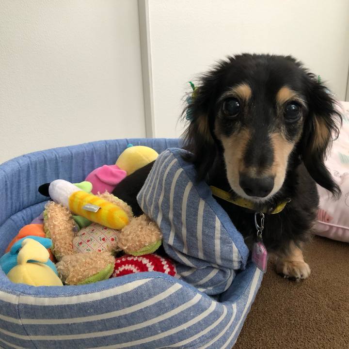 Fc6b436d 710d 4d07 9a7c 1dbcdd9bdc4a 1597315759378