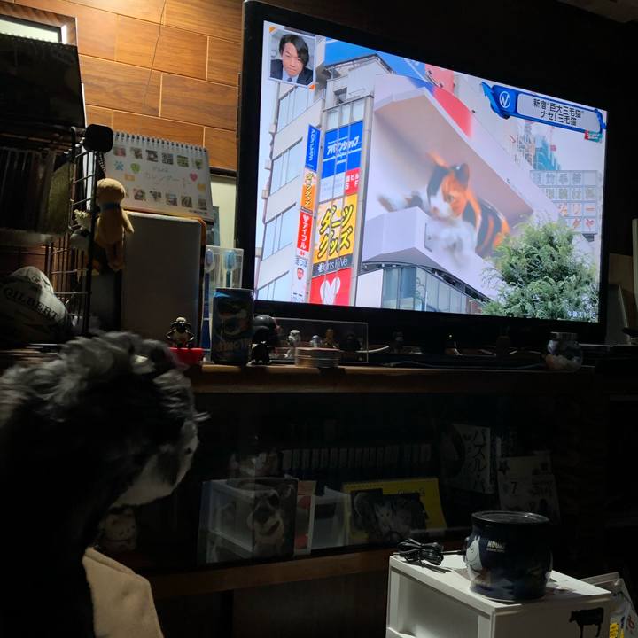 Fc6b4375 236b 44d4 a667 235ad2e3158c 1626532466539